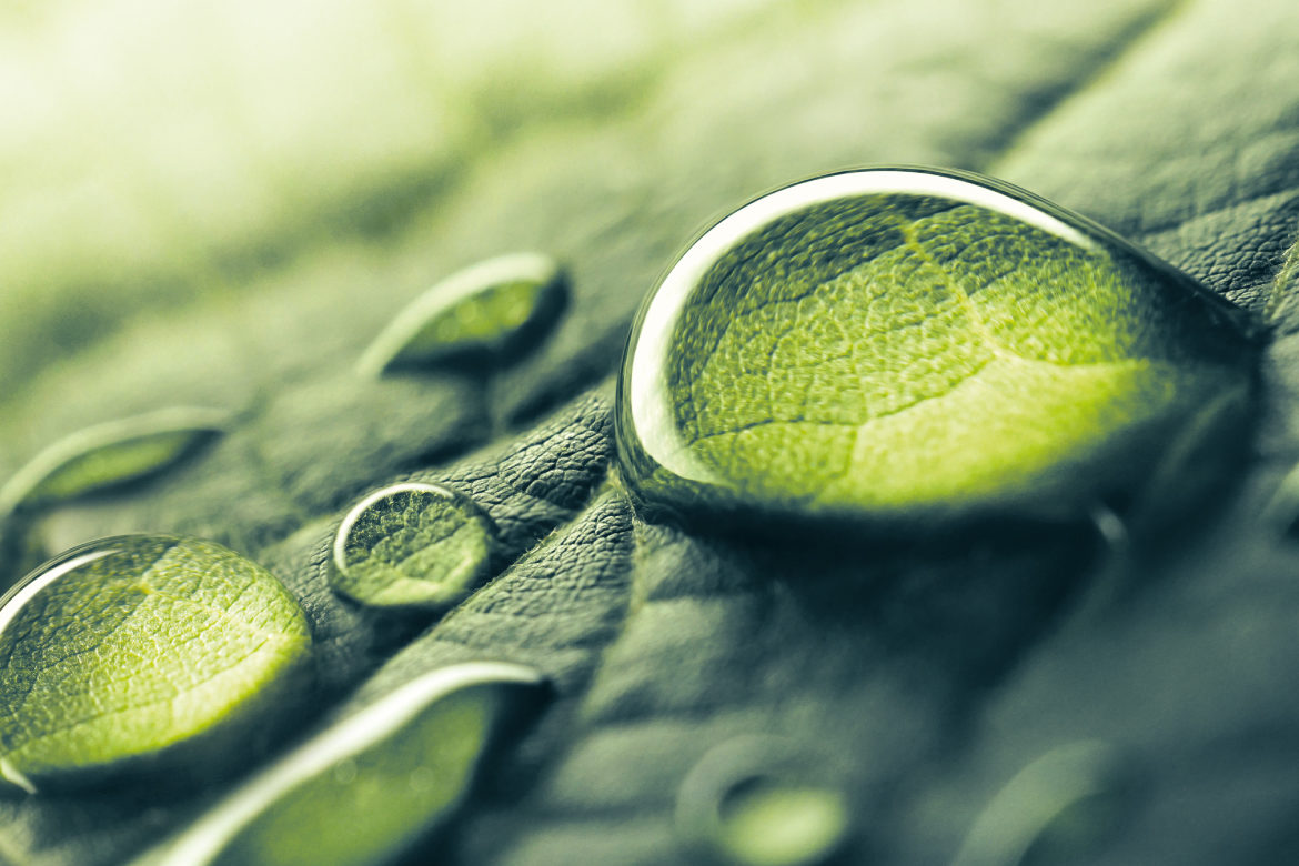 VAG-FOR_2021_immagini-articoli_ambiente-nelle-politiche-aziendali