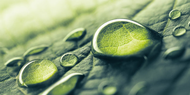 VAG-FOR_2021_immagini-articoli_ambiente-nelle-politiche-aziendali