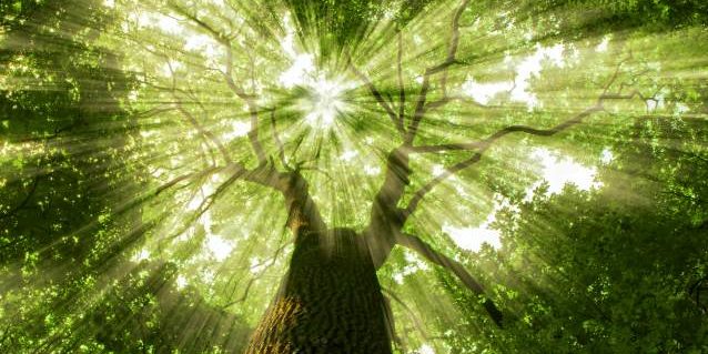 Rivacold: i prodotti a refrigerante naturale CO2 Rivacold: i prodotti a refrigerante naturale CO2